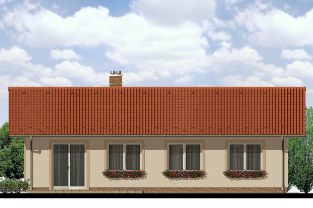 Array - perspektiva PL